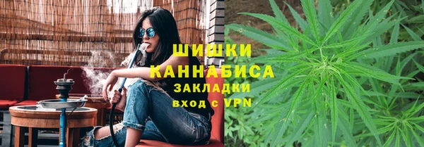 гашик Кулебаки