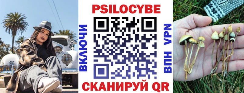 где можно купить наркотик  OMG ССЫЛКА  Галлюциногенные грибы прущие грибы  Мосальск 